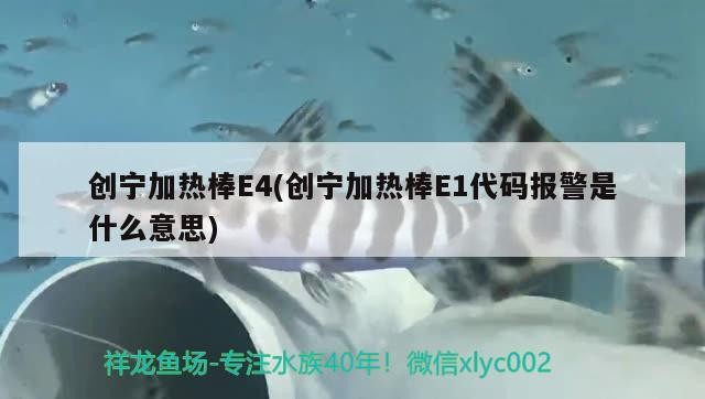 創寧加熱棒E4(創寧加熱棒E1代碼報警是什么意思) 創寧加熱棒E4(創寧加熱棒E1代碼報警是什么意思) 創寧水族