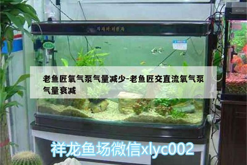老魚匠氧氣泵氣量減少:老魚匠交直流氧氣泵氣量衰減 老魚匠氧氣泵氣量減少:老魚匠交直流氧氣泵氣量衰減 老魚匠