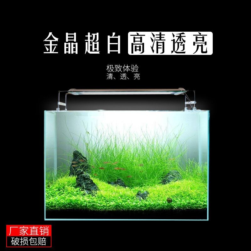 80長的魚缸尺寸：80長的魚缸尺寸是多少？ 80長的魚缸尺寸：80長的魚缸尺寸是多少？ 魚缸百科 第1張