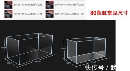 80長的魚缸尺寸：80長的魚缸尺寸是多少？ 80長的魚缸尺寸：80長的魚缸尺寸是多少？ 魚缸百科 第4張