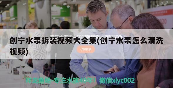 創寧水泵拆裝視頻大全集(創寧水泵怎么清洗視頻)