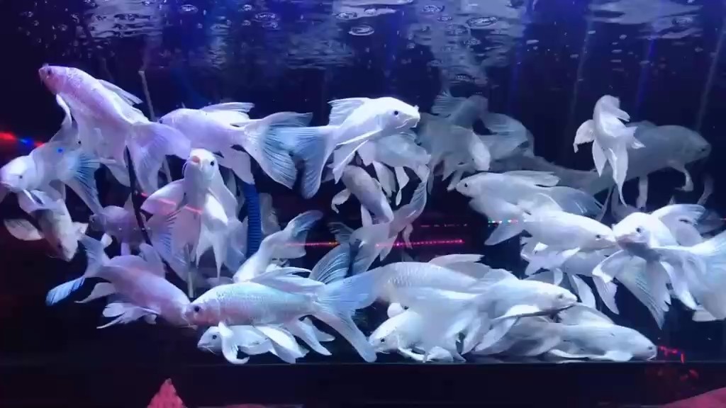 安于現狀？不，打破舒適圈，勇敢奔赴未知新