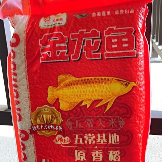 龍魚偏愛何種魚？探尋金龍魚最愛美食之魚