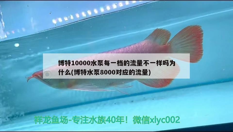 特10000水泵各檔流量差異原因探究及8000對應(yīng)流量