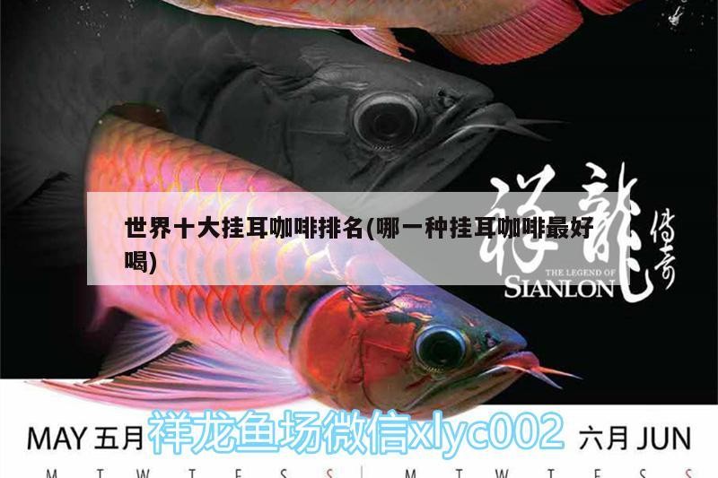 十大掛耳咖啡排名，探尋哪種掛耳咖啡最好喝？