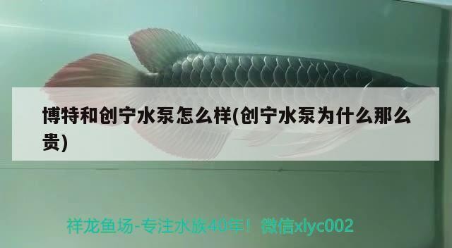 特與創(chuàng)寧水泵性能對比，揭秘創(chuàng)寧高價背后原因