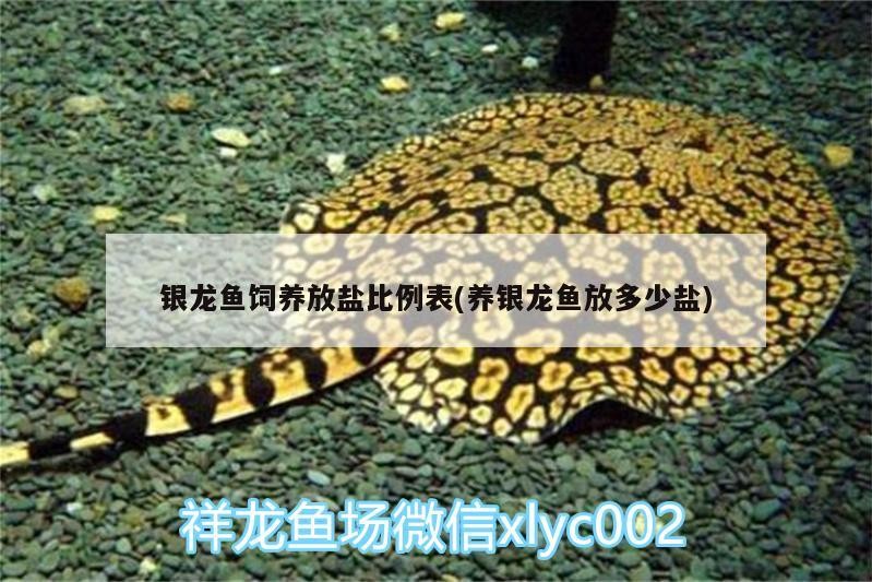 龍魚飼養(yǎng)放鹽比例表，科學(xué)指導(dǎo)養(yǎng)銀龍魚