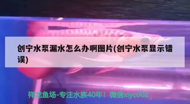 寧水泵漏水且顯示錯誤，圖片呈現問題，如何解決困擾？
