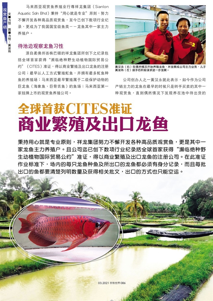 詳細(xì)閱讀:龍魚(yú)場(chǎng)創(chuàng)佳績(jī),全球首獲CITES準(zhǔn)證 龍魚(yú)場(chǎng)創(chuàng)佳績(jī),全球首獲CITES準(zhǔn)證