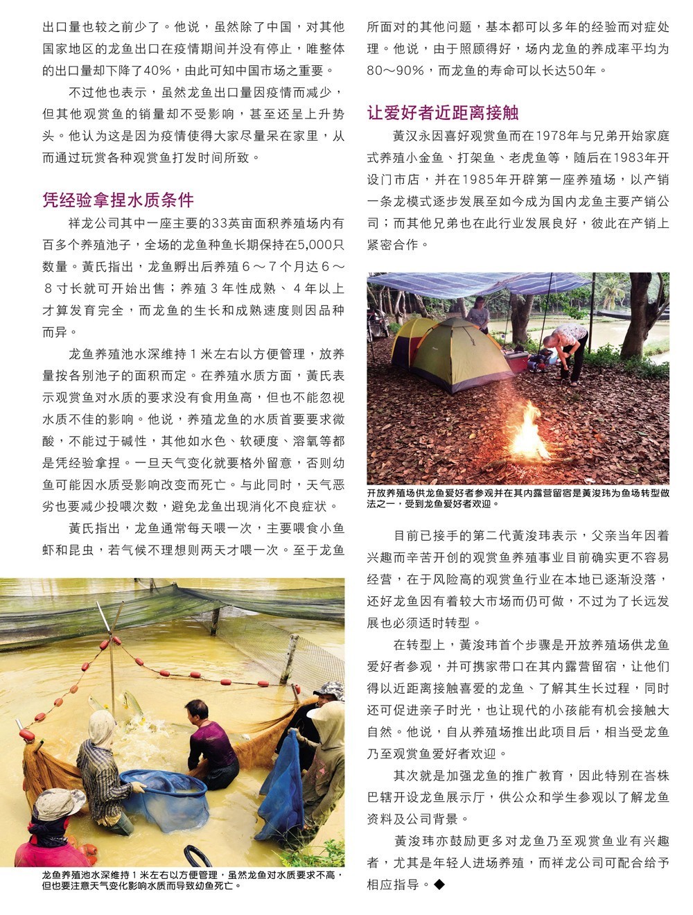 龍魚場創(chuàng)佳績，全球首獲CITES準(zhǔn)證 龍魚場創(chuàng)佳績，全球首獲CITES準(zhǔn)證 觀賞魚百科 第4張