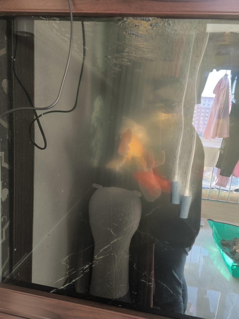 建議，大神們，請分享一下你們的寶貴意見