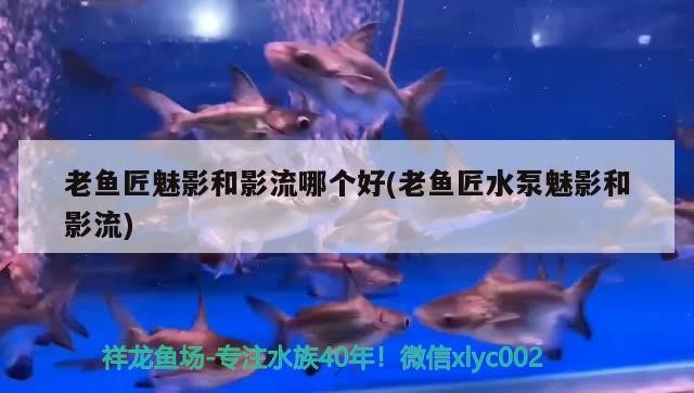 魚匠魅影與影流水泵對(duì)比，究竟哪個(gè)更勝