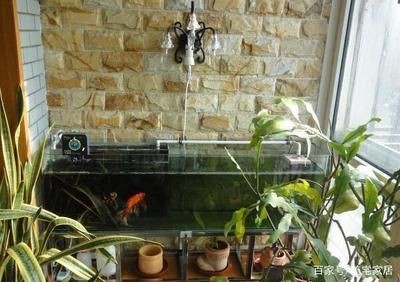毫米玻璃魚缸承重多少斤？