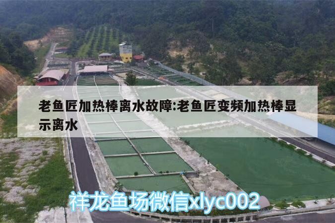 魚匠變頻加熱棒離水故障？ 魚匠變頻加熱棒離水故障？ 老魚匠