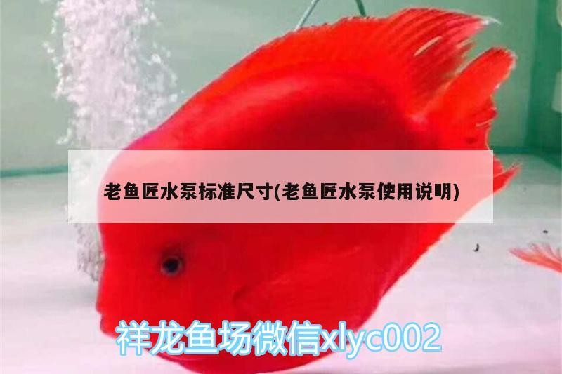 魚匠水泵標準尺寸及使用說明詳解，助你輕松掌握