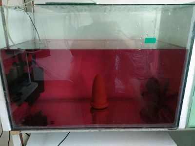 過濾器安裝圖及組裝步驟詳解，輕松搞定aquarium過濾