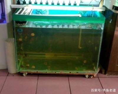 過濾器安裝圖及組裝步驟詳解，輕松搞定aquarium過濾