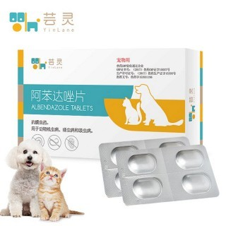 鯉魚趴缸底成因探秘與