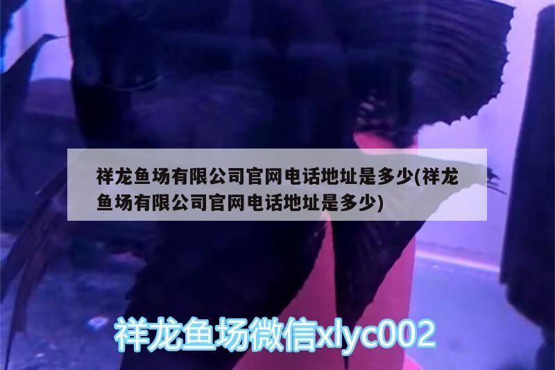 龍魚場有限公司官網電話地址是多少？ 龍魚場有限公司官網電話地址是多少？ 魚缸百科