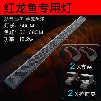 龍魚專用燈品牌大比拼，精選最優(yōu)推薦助你挑 龍魚專用燈品牌大比拼，精選最優(yōu)推薦助你挑 紅龍魚百科 第5張