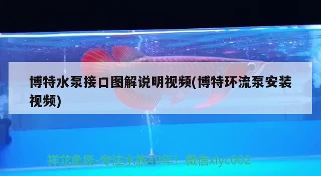 特水泵接口圖解及環流泵