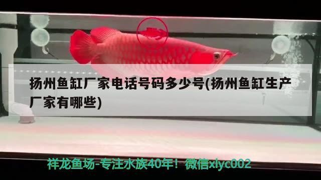 魚缸廠家電話及生產廠家信息匯總，助你輕松選購心儀