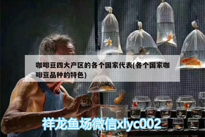 豆四大產區各國代表，特色品種全