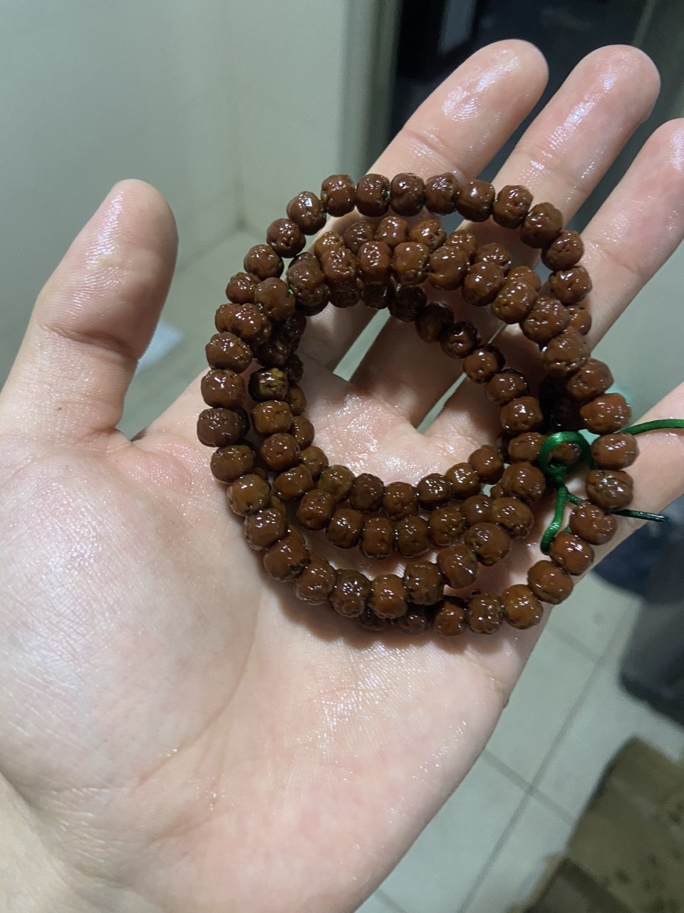 佛手小金剛