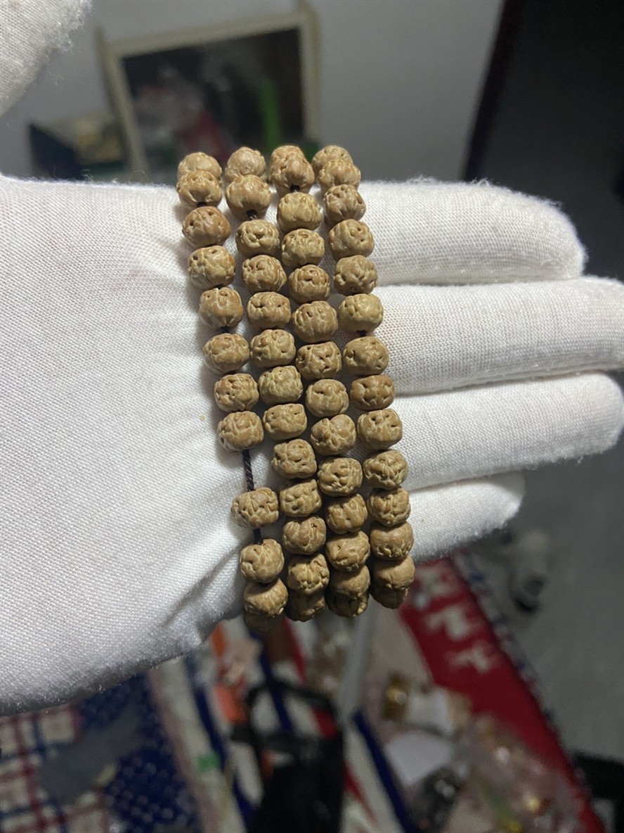 佛手小金剛