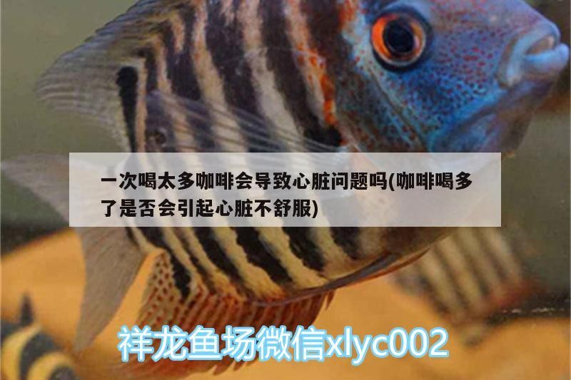 一次喝太多咖啡會導致心臟問題嗎(咖啡喝多了是否會引起心臟不舒服)