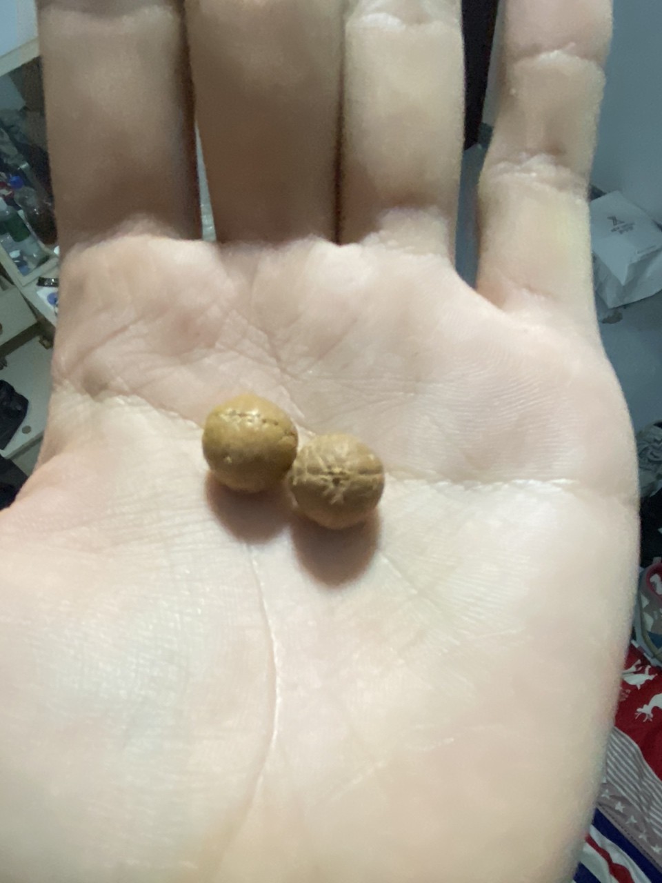 打底和不打底的區別 打底和不打底的區別 龍魚論壇 第2張