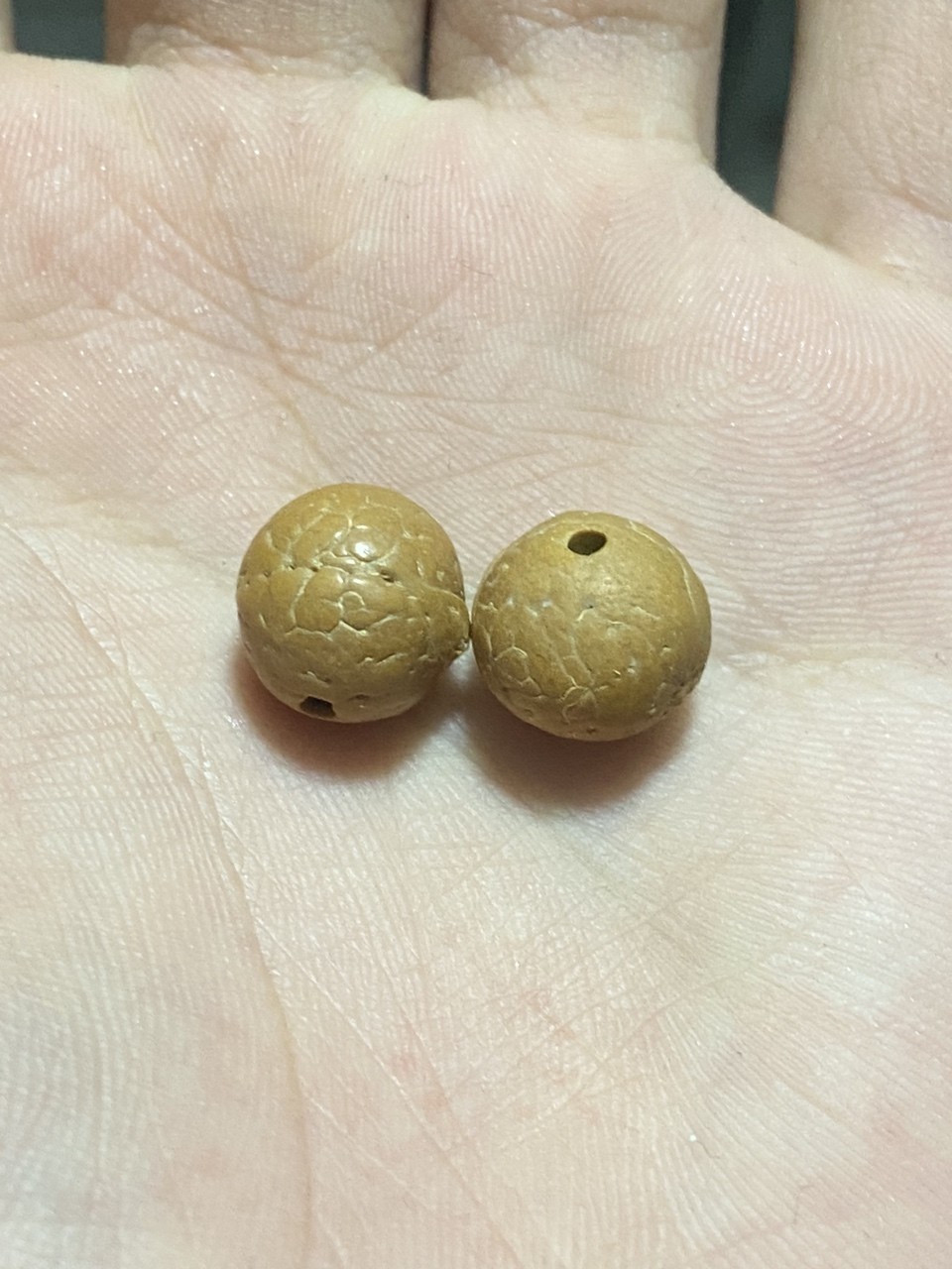 打底和不打底的區別 打底和不打底的區別 龍魚論壇 第1張