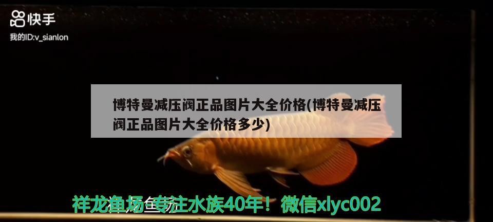 魚缸用增氧泵價格是多少:魚缸增氧機-xtrac增氧機-xtrac增氧機 博特曼減壓閥正品圖片大全價格(博特曼減壓閥正品圖片大全價格多少) 博特水族 博特曼減壓閥正品圖片大全價格(博特曼減壓閥正品圖片大全價格多少) 博特曼減壓閥正品圖片大全價格(博特曼減壓閥正品圖片大全價格多少) 博特水族