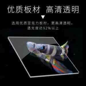 虎魚隔離盒放魚缸底部可以嗎：虎魚隔離盒在魚缸中的放置方式