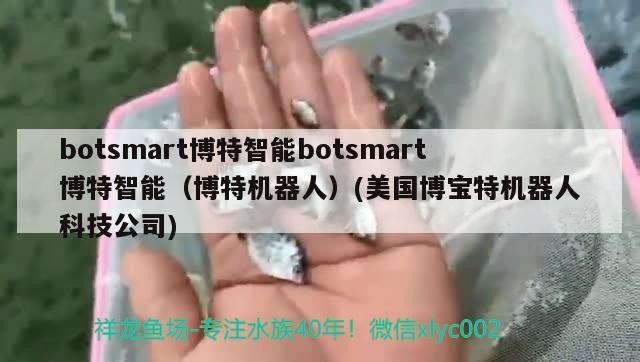 botsmart博特智能botsmart博特智能（博特機器人）(美國博寶特機器人科技公司)