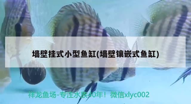 1-2cm金龍魚苗的飼料有哪些，金龍魚苗的飼料主要包括以下幾種，適合金龍魚苗的飼料 1-2cm金龍魚苗的飼料有哪些，金龍魚苗的飼料主要包括以下幾種，適合金龍魚苗的飼料 龍魚百科 第1張