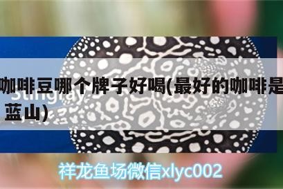 藍(lán)山咖啡豆哪個(gè)牌子好喝(最好的咖啡是什么牌子藍(lán)山)