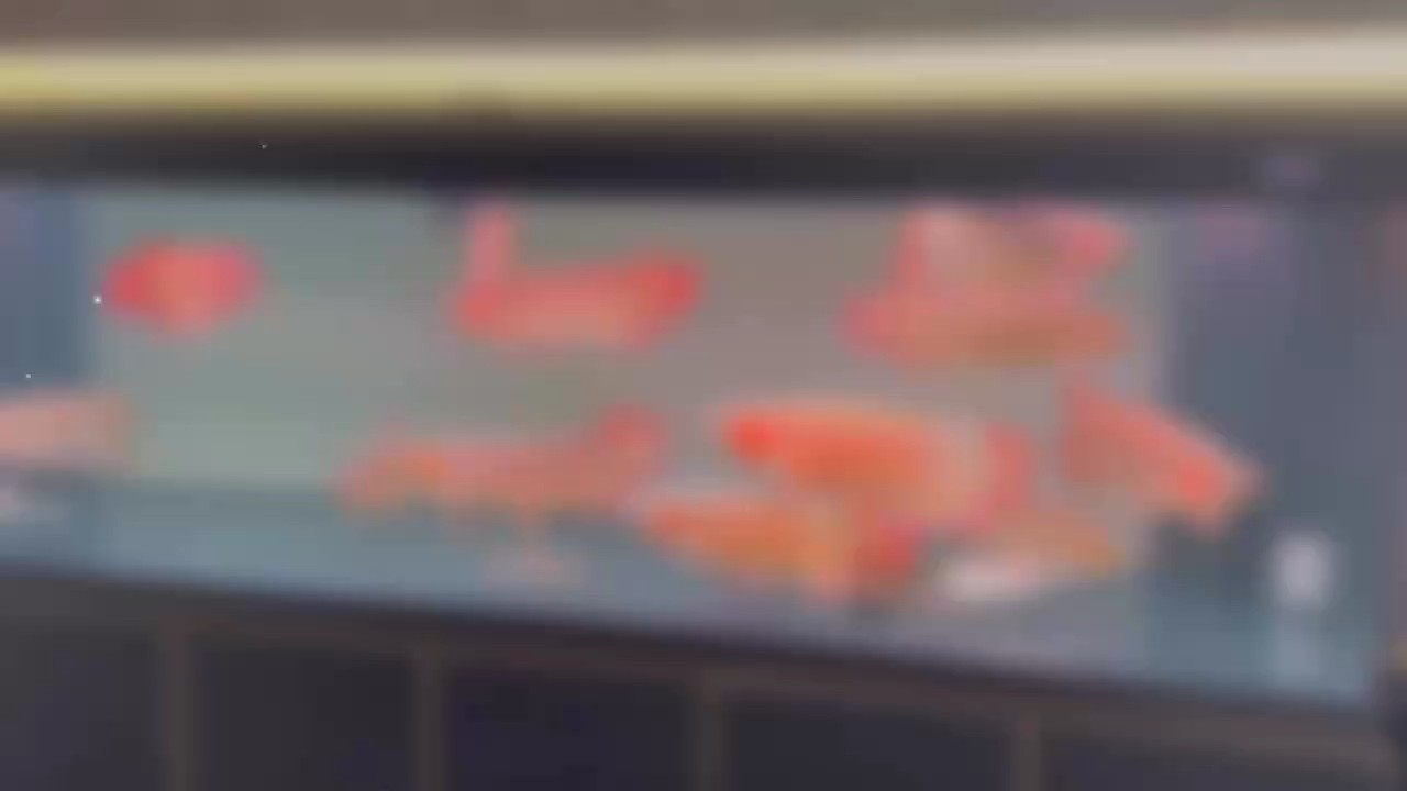魚缸過濾器選購指南:自制魚缸過濾器魚缸上置過濾器對于養魚愛好者的必備知識 pease of mind. ?????? 龍魚論壇 pease of mind. ?????? pease of mind. ?????? 龍魚論壇
