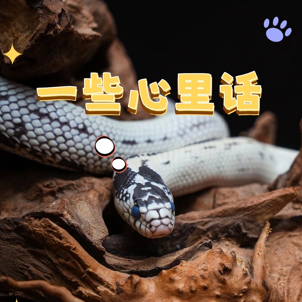 一些心里話??