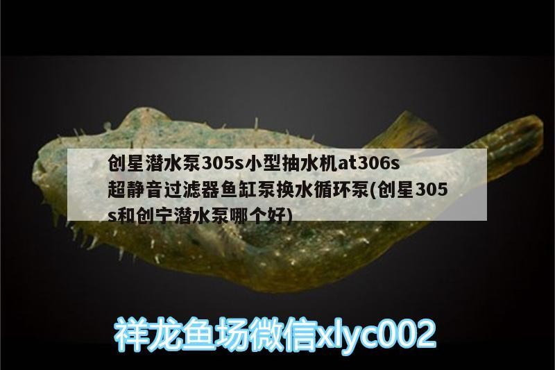 創星潛水泵305s小型抽水機at306s超靜音過濾器魚缸泵換水循環泵(創星305s和創寧潛水泵哪個好)