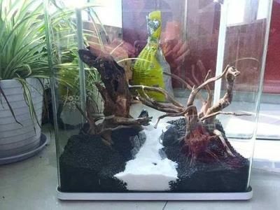 魚缸用多少底砂最好（魚缸用多少底砂最好呢）