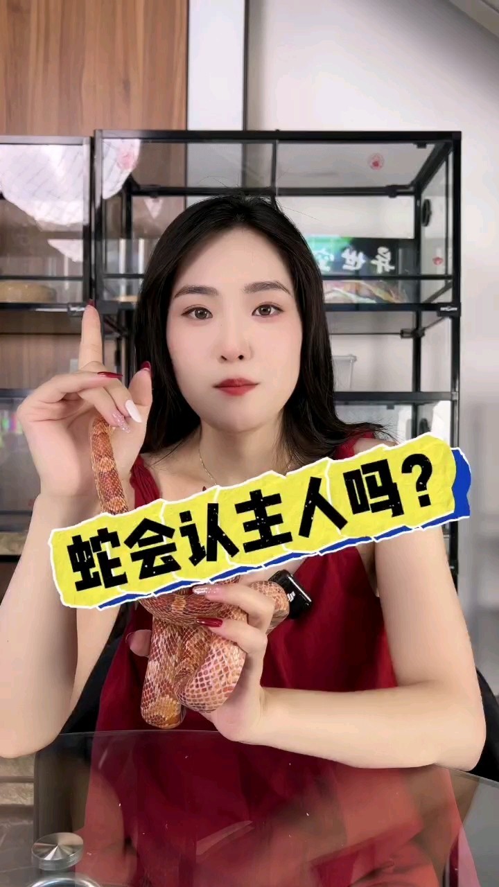 蛇會認主嗎