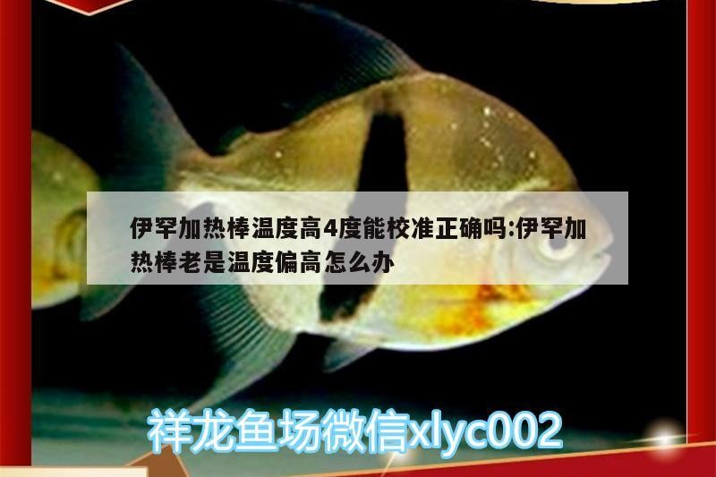伊罕加熱棒溫度高4度能校準正確嗎:伊罕加熱棒老是溫度偏高怎么辦