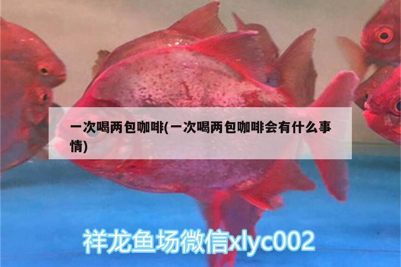 一次喝兩包咖啡(一次喝兩包咖啡會有什么事情) 一次喝兩包咖啡(一次喝兩包咖啡會有什么事情) 馬來西亞咖啡