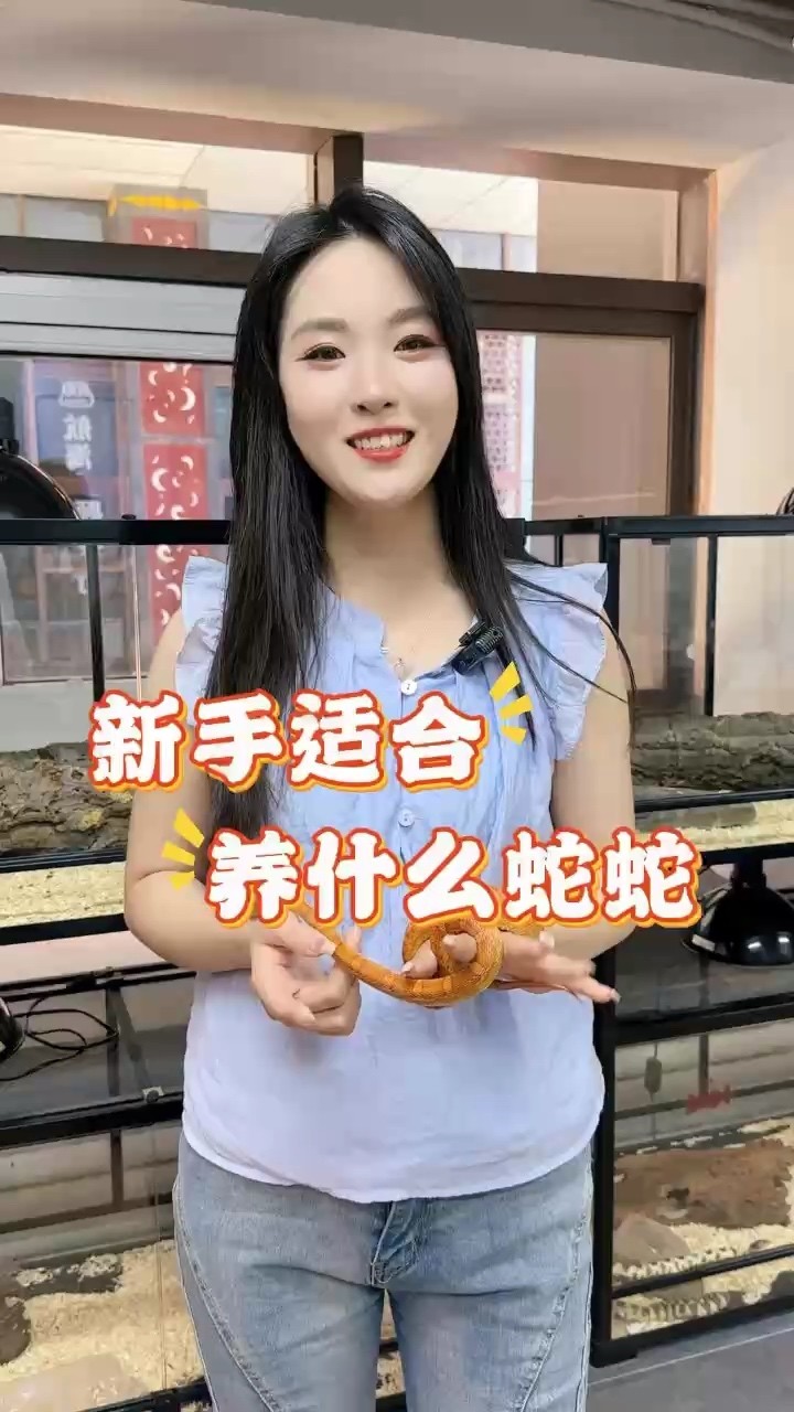 新手適合養(yǎng)什么寵物蛇