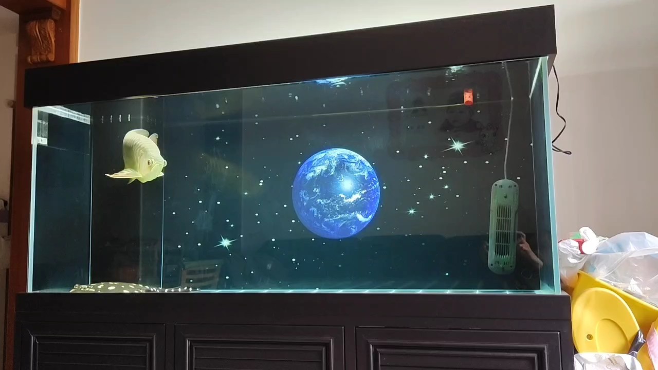 魚缸用增氧泵價格是多少:魚缸增氧機-xtrac增氧機-xtrac增氧機 氣溫驟降注意魚缸溫度啊友友們 龍魚論壇 氣溫驟降注意魚缸溫度啊友友們 氣溫驟降注意魚缸溫度啊友友們 龍魚論壇