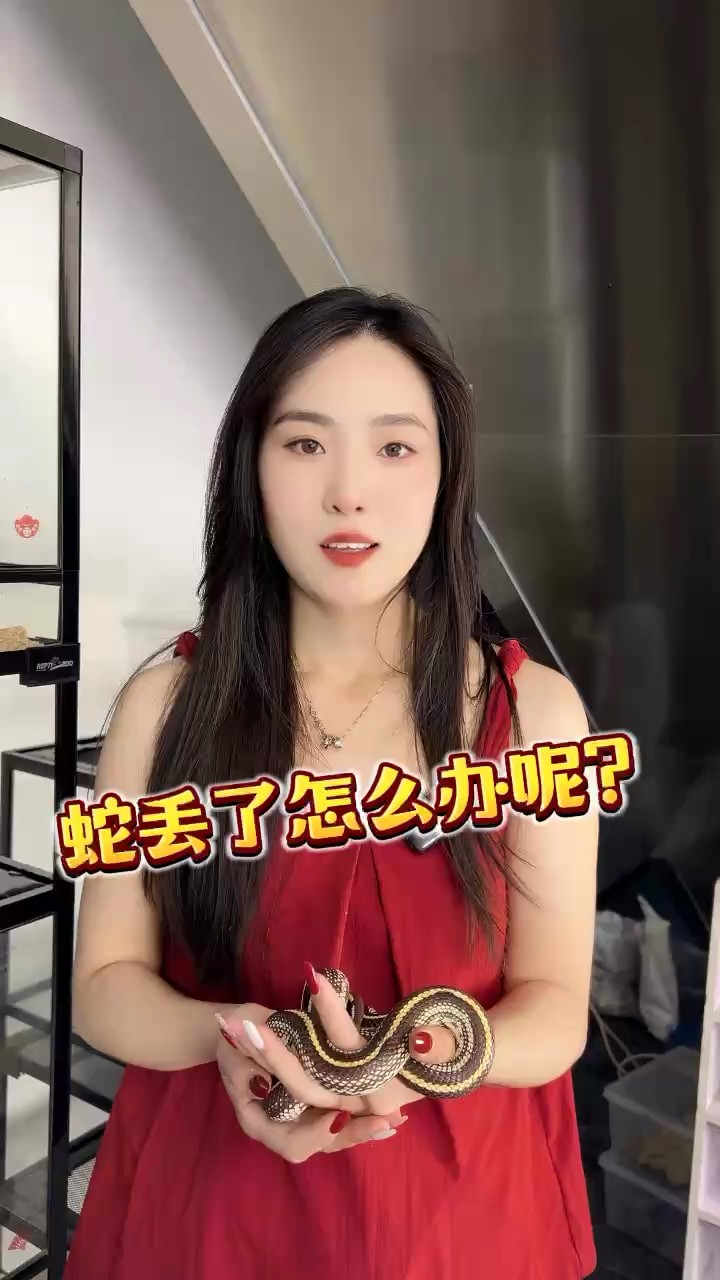 魚(yú)缸里放石子的好處，魚(yú)缸里小石子的作用是什么 魚(yú)缸里放石子的好處，魚(yú)缸里小石子的作用是什么 觀賞魚(yú)百科 第1張