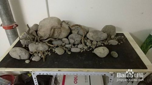 1米原生魚缸造景：1米原生魚缸造景之多洞穴原生缸造景介紹和建議