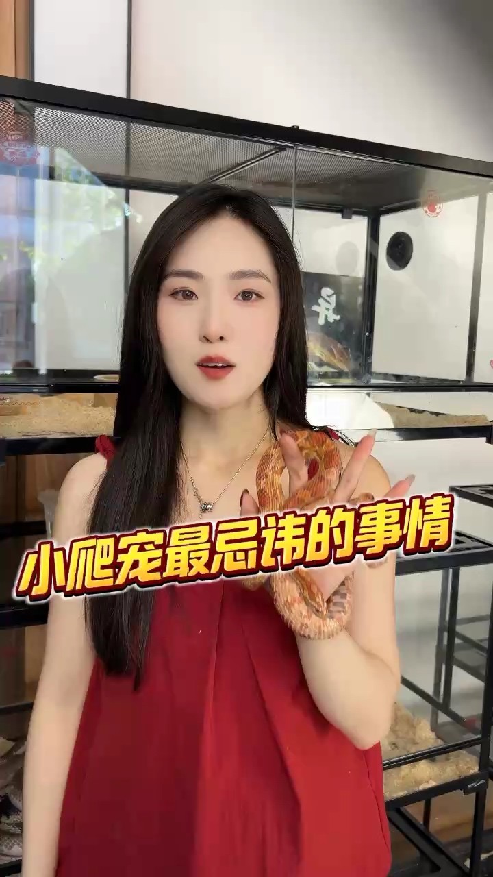 鸚鵡魚和銀龍魚混養(yǎng)怎樣喂食 盤蛇的注意事項 龍魚論壇 盤蛇的注意事項 盤蛇的注意事項 龍魚論壇