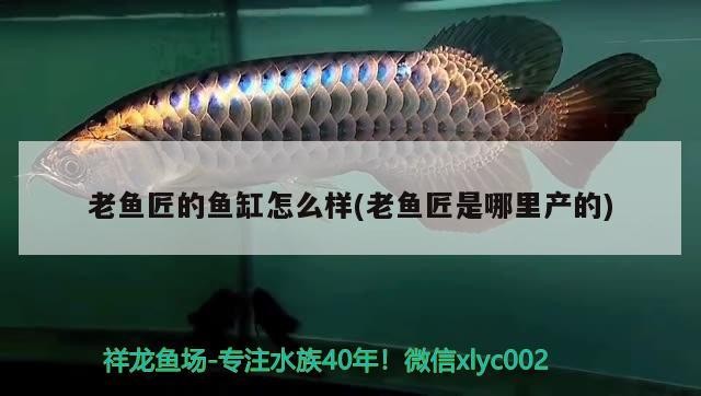 老魚匠的魚缸怎么樣(老魚匠是哪里產的)